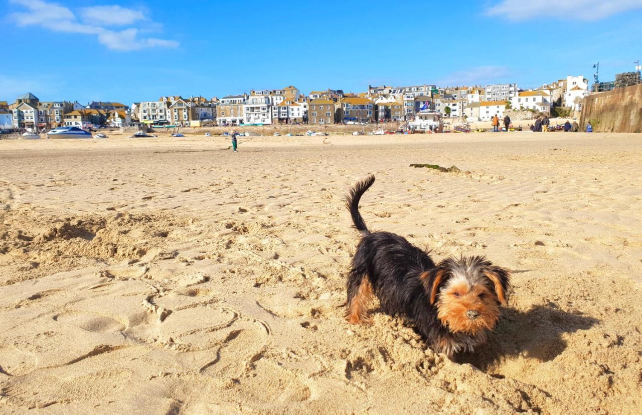 Idyllic Cornish Cottage, Superking Bed, Private Garden Dogs Welcome ترورو المظهر الخارجي الصورة