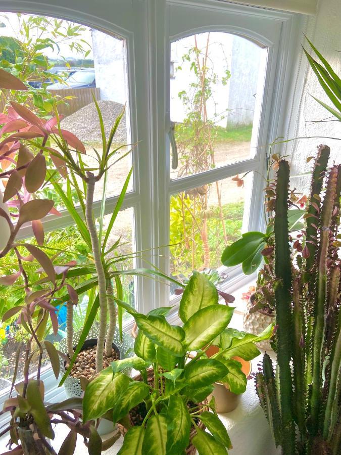 Idyllic Cornish Cottage, Superking Bed, Private Garden Dogs Welcome ترورو المظهر الخارجي الصورة